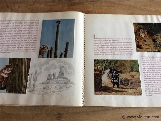 Album de levende woestijn ( compleet) - afbeelding 3 van  4