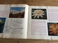 Album de levende woestijn ( compleet) - afbeelding 4 van  4