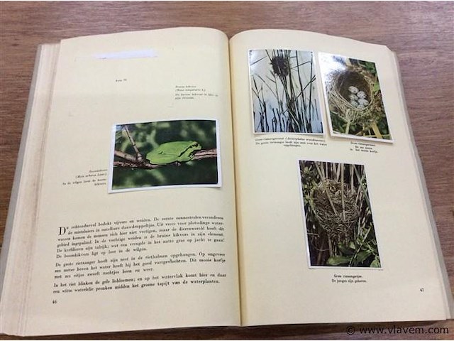 Album fauna / flor ( 1à 4 prenten ontbreken ) - afbeelding 2 van  2