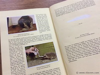 Album fauna / flor ( 1à 4 prenten ontbreken ) - afbeelding 2 van  2