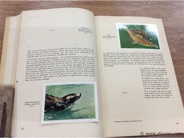 Album fauna / flor aquatic ( niet compleet ) - afbeelding 2 van  2