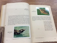 Album fauna / flor aquatic ( niet compleet ) - afbeelding 2 van  2