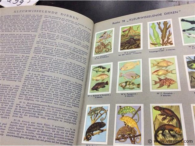 Album nestlé nr 3&4 compleet - afbeelding 5 van  8