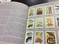 Album nestlé nr 3&4 compleet - afbeelding 5 van  8