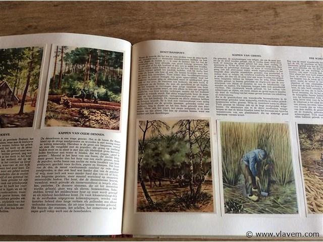 Album tussen maas en schelde (compleet ) - afbeelding 4 van  6