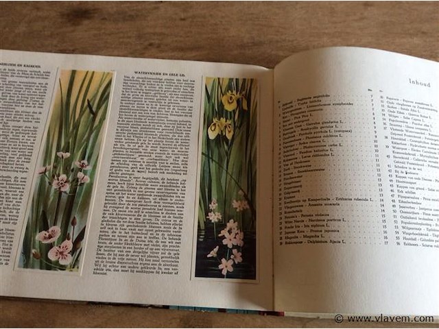 Album tussen maas en schelde (compleet ) - afbeelding 5 van  6