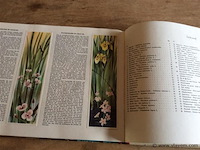 Album tussen maas en schelde (compleet ) - afbeelding 5 van  6