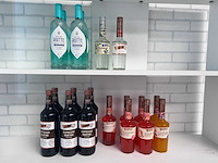 Alcoholische (cocktail)drank (19x) - afbeelding 1 van  4