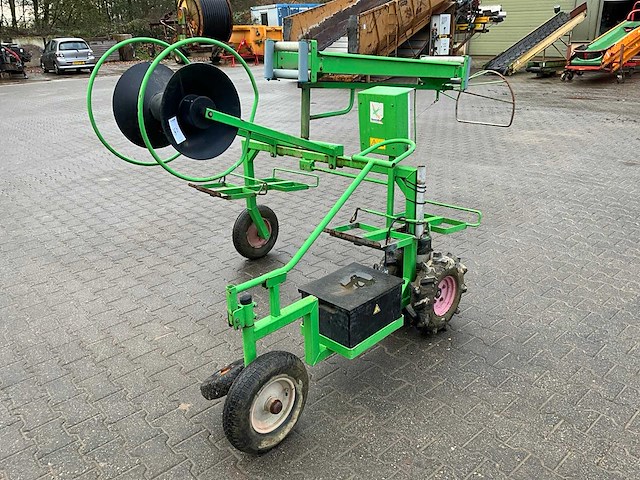 Aldezee zwaluw 1 asperge zwaluw - afbeelding 1 van  11