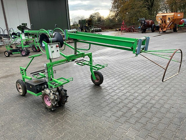 Aldezee zwaluw 1 asperge zwaluw - afbeelding 4 van  11