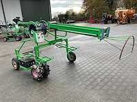 Aldezee zwaluw 1 asperge zwaluw - afbeelding 4 van  11