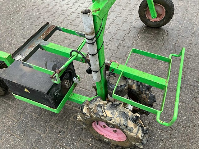 Aldezee zwaluw 1 asperge zwaluw - afbeelding 8 van  11