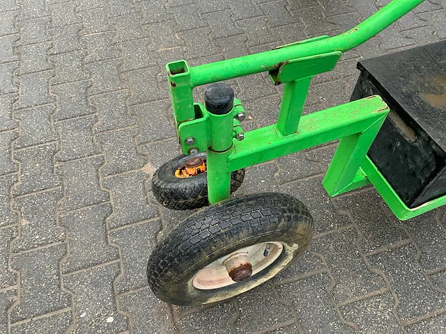 Aldezee zwaluw 1 asperge zwaluw - afbeelding 10 van  11