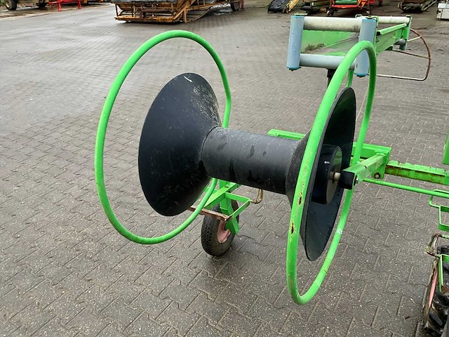 Aldezee zwaluw 1 asperge zwaluw - afbeelding 11 van  11