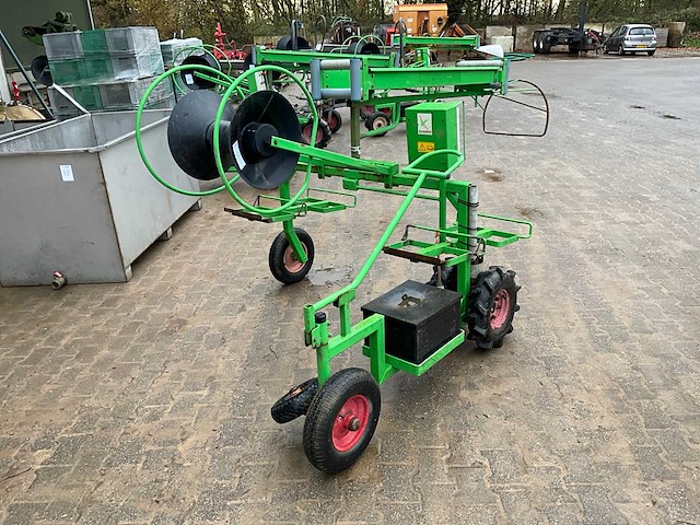 Aldezee zwaluw 1 asperge zwaluw - afbeelding 1 van  11