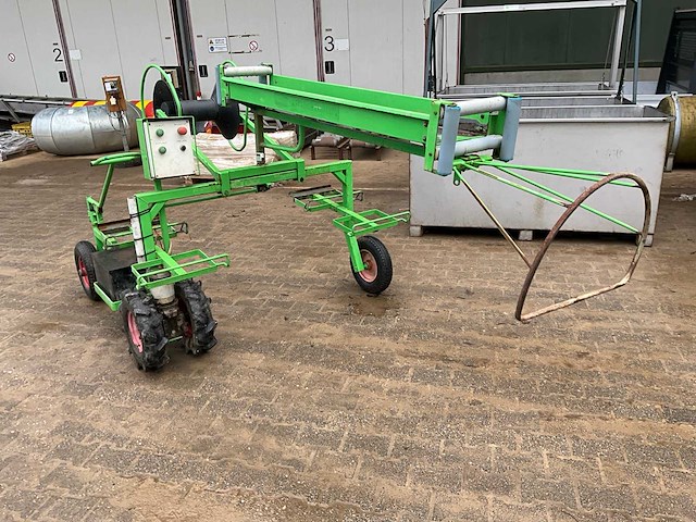 Aldezee zwaluw 1 asperge zwaluw - afbeelding 4 van  11