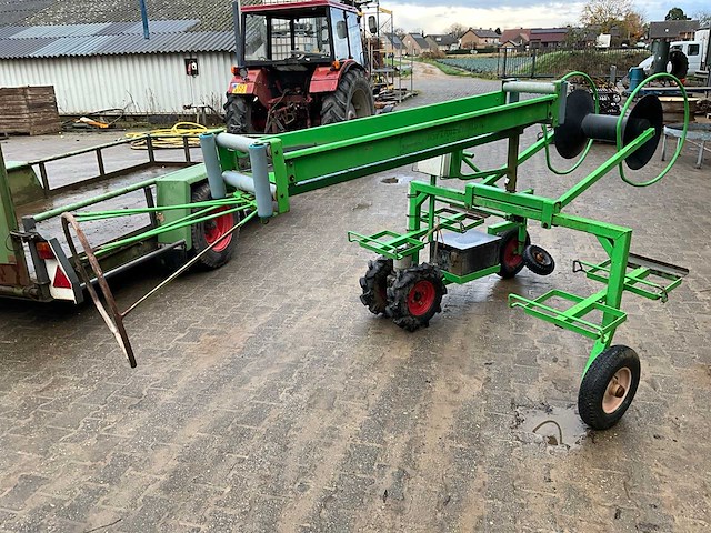 Aldezee zwaluw 1 asperge zwaluw - afbeelding 5 van  11