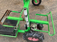 Aldezee zwaluw 1 asperge zwaluw - afbeelding 8 van  11