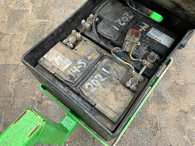 Aldezee zwaluw 1 asperge zwaluw - afbeelding 9 van  11