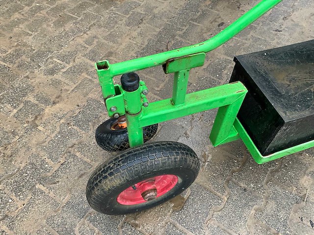 Aldezee zwaluw 1 asperge zwaluw - afbeelding 10 van  11