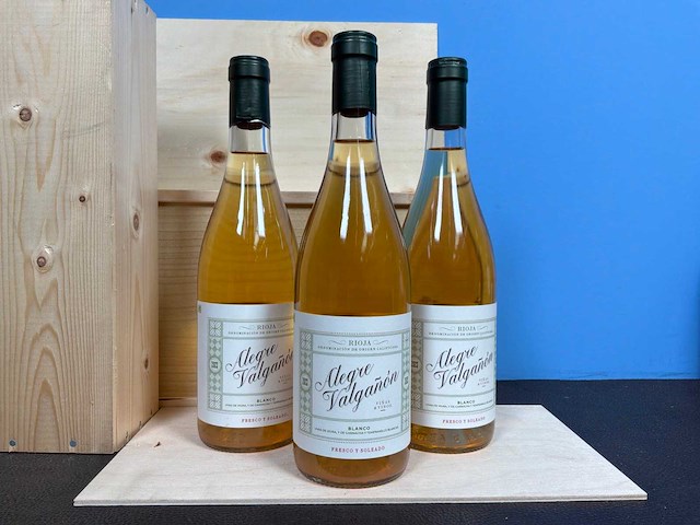 Alegre valgañón rioja 2023 witte wijn (3x) - afbeelding 1 van  3
