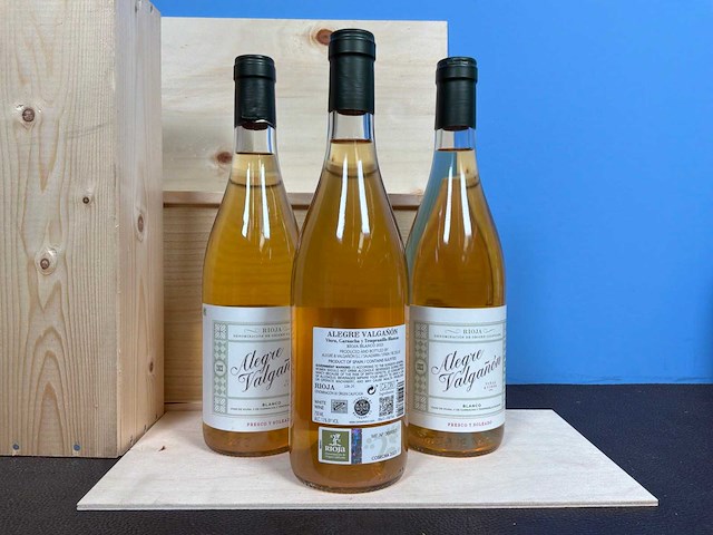 Alegre valgañón rioja 2023 witte wijn (3x) - afbeelding 2 van  3
