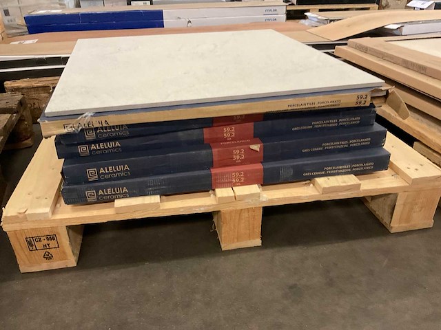 Aleluia vloertegel 60x60 cm ca 5 m² - afbeelding 3 van  4
