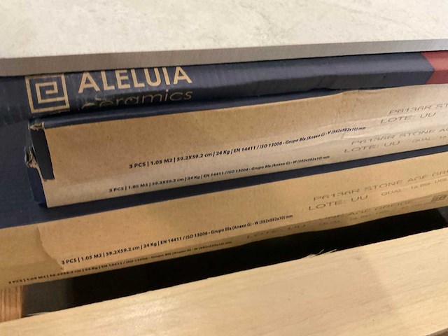 Aleluia vloertegel 60x60 cm ca 5 m² - afbeelding 4 van  4