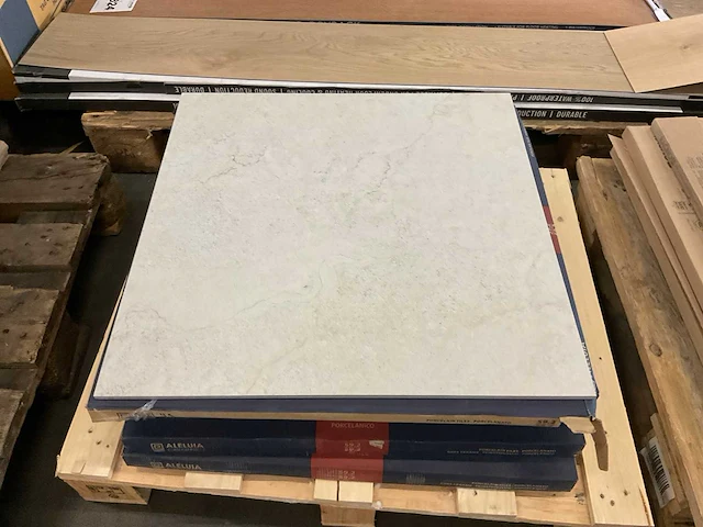 Aleluia vloertegel 60x60 cm ca 5 m² - afbeelding 1 van  4