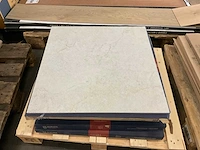 Aleluia vloertegel 60x60 cm ca 5 m² - afbeelding 1 van  4