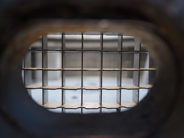 Alexander solia - afbeelding 8 van  10