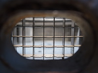 Alexander solia - afbeelding 8 van  10