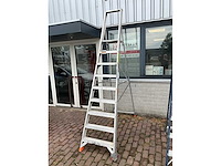 Alga bordestrap - afbeelding 2 van  5