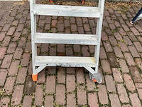 Alga bordestrap - afbeelding 3 van  5