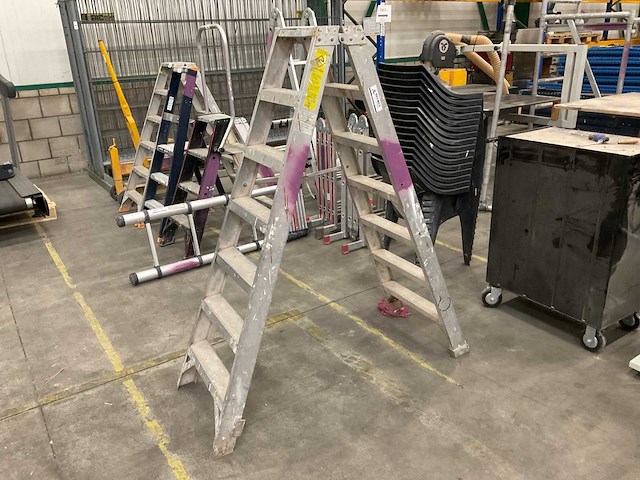 Alga dubbele trap - afbeelding 1 van  2