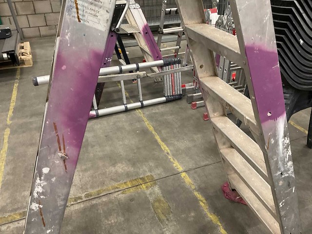 Alga dubbele trap - afbeelding 2 van  2