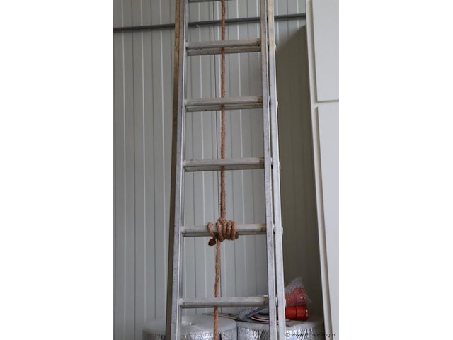 Alga ladder - 524x41cm - afbeelding 3 van  6