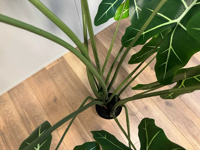 Alocasia tree kunstplant (175cm hoog) (2x) - afbeelding 2 van  12