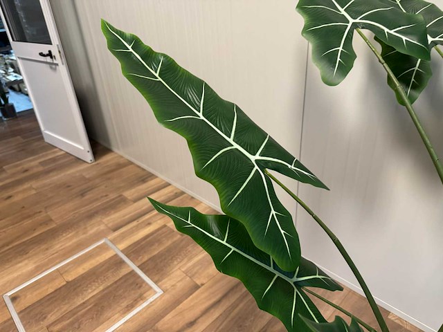 Alocasia tree kunstplant (175cm hoog) - afbeelding 10 van  11