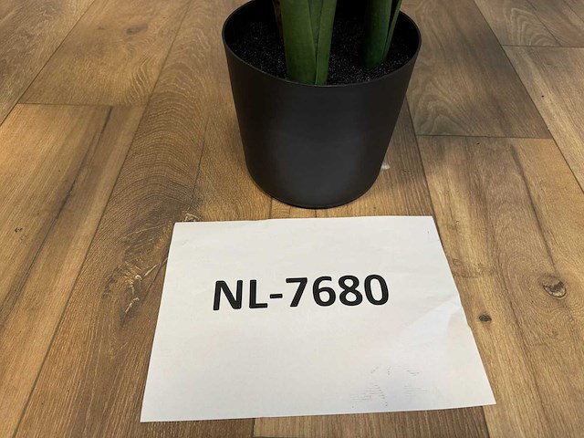 Alocasia tree kunstplant (175cm hoog) - afbeelding 3 van  10