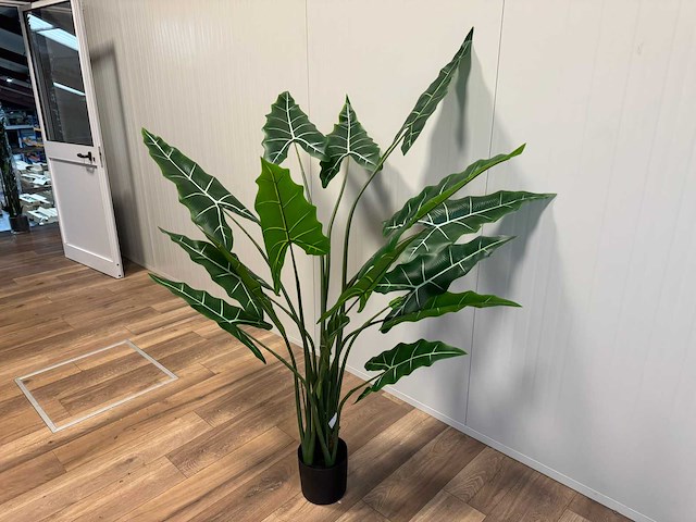 Alocasia tree kunstplant (175cm hoog) - afbeelding 4 van  10