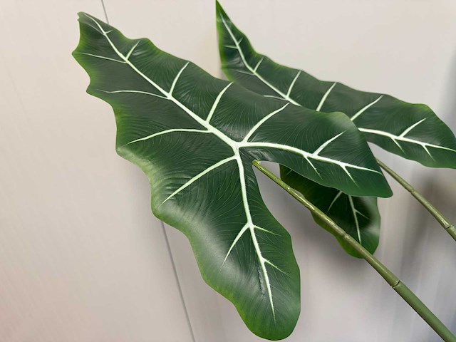 Alocasia tree kunstplant (175cm hoog) - afbeelding 7 van  10