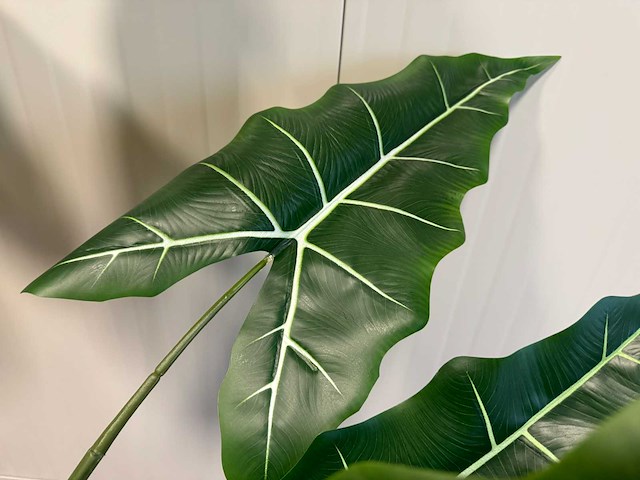 Alocasia tree kunstplant (175cm hoog) - afbeelding 8 van  10