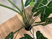 Alocasia tree kunstplant (175cm hoog) - afbeelding 10 van  10