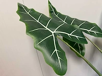 Alocasia tree kunstplant (175cm hoog) - afbeelding 10 van  12