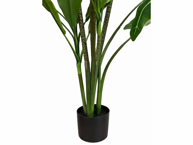 Alocasia tree kunstplant (175cm hoog) - afbeelding 6 van  12