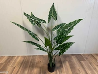 Alocasia tree kunstplant (175cm hoog) - afbeelding 7 van  12
