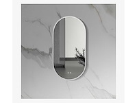 Aloni - lina - ledspiegel ovaal geborsteld rvs 100x50 cm - afbeelding 1 van  4