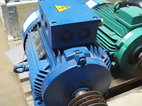 Alpak - afbeelding 4 van  6