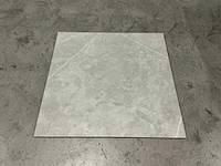 Alpas euro - 60 x 60 cm - vloertegel 30,24 m2 - afbeelding 2 van  5